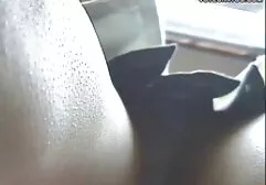 พวกนั้นสนใจในกรีดร้องผ่านหลุมในกำแพง ดู หนัง โป้ วีดีโอ
